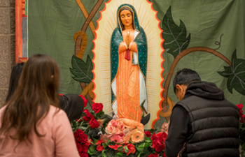 GUADALUPE マリア像 THE CRIMIE GARDEN GUADALUPE マリア像 THE CRIMIE GARDEN 24